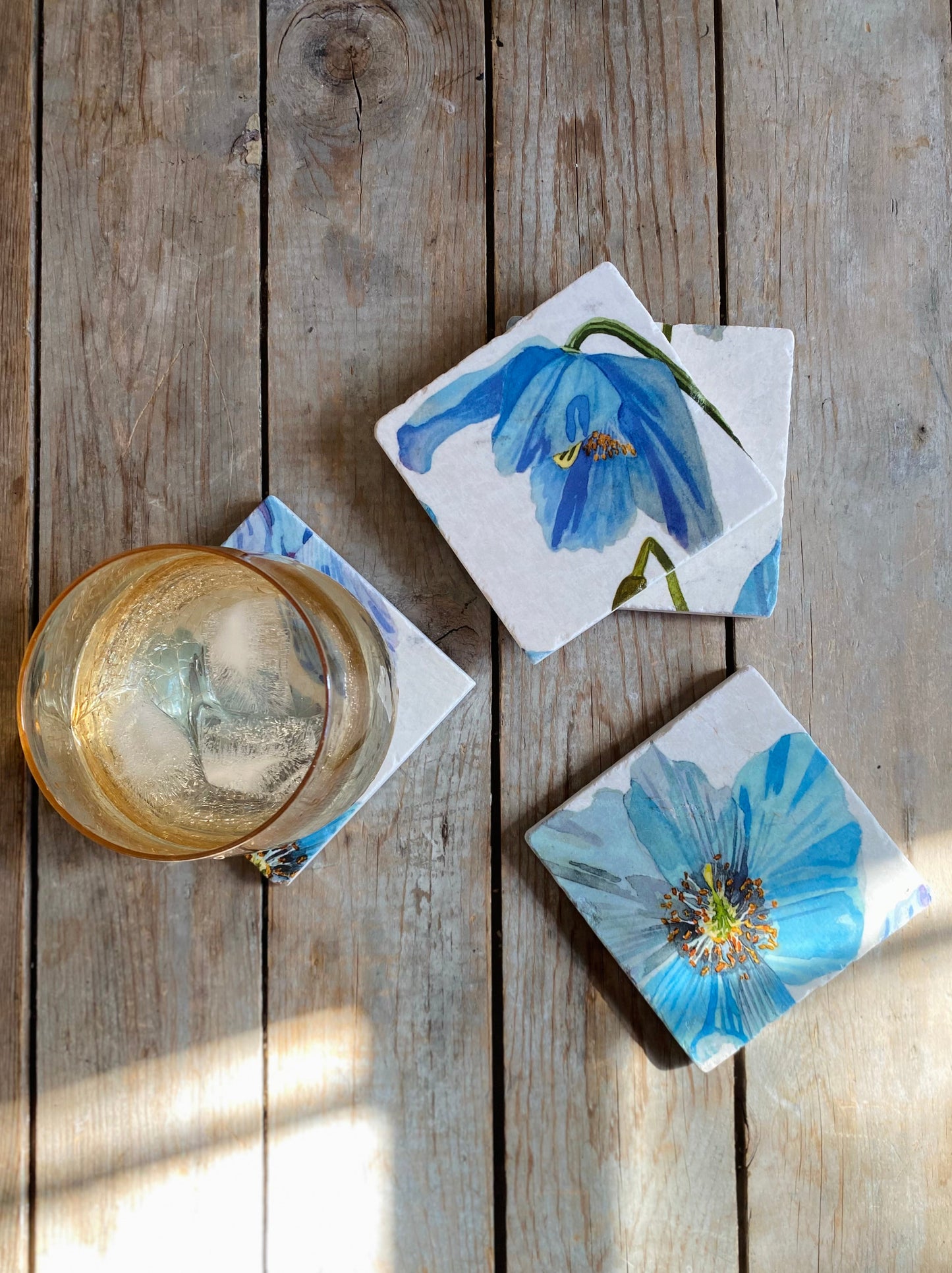 Coasters Set: Himalayan Blue Poppies on Ecru Coasters India & Purry by Jessica Hollander