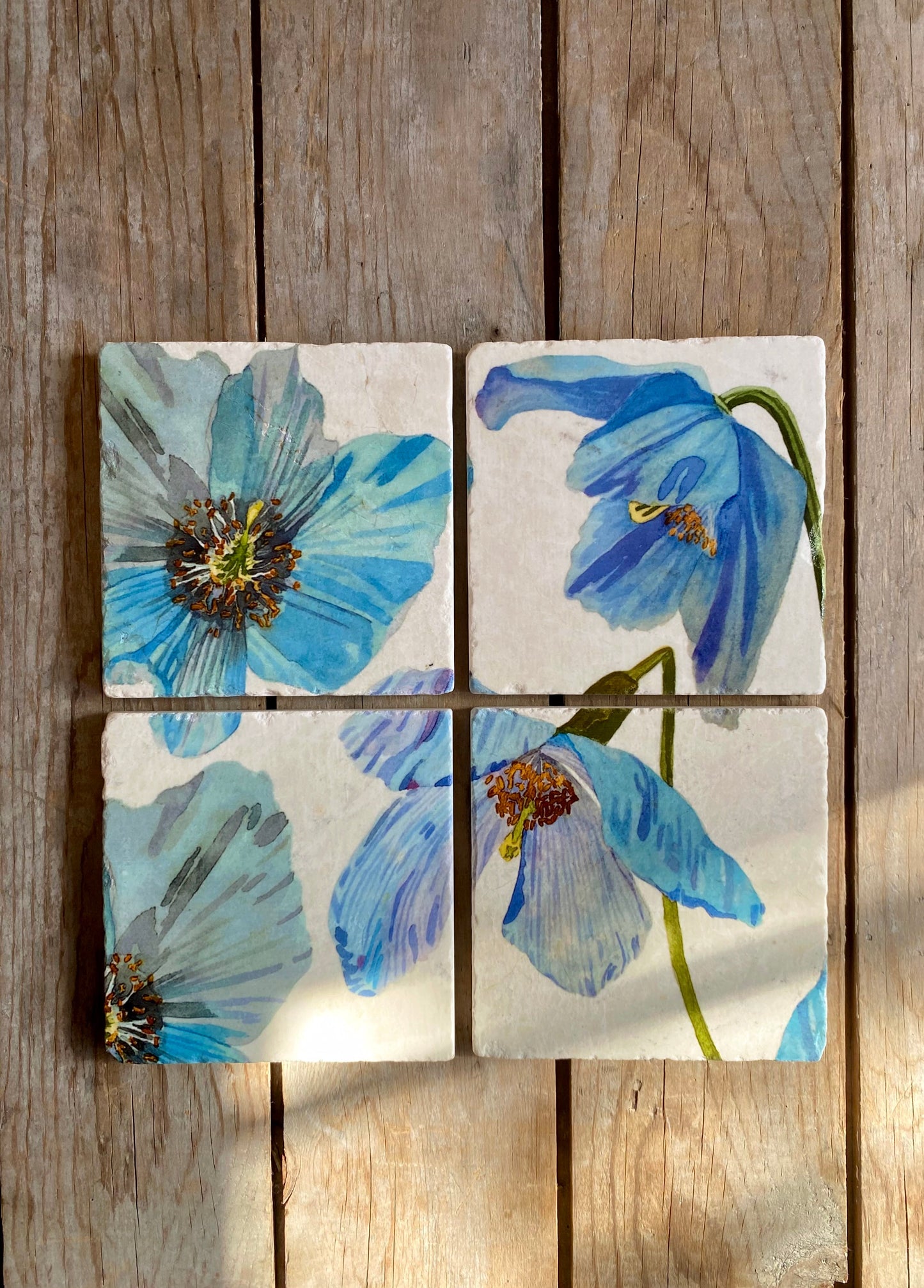 Coasters Set: Himalayan Blue Poppies on Ecru Coasters India & Purry by Jessica Hollander