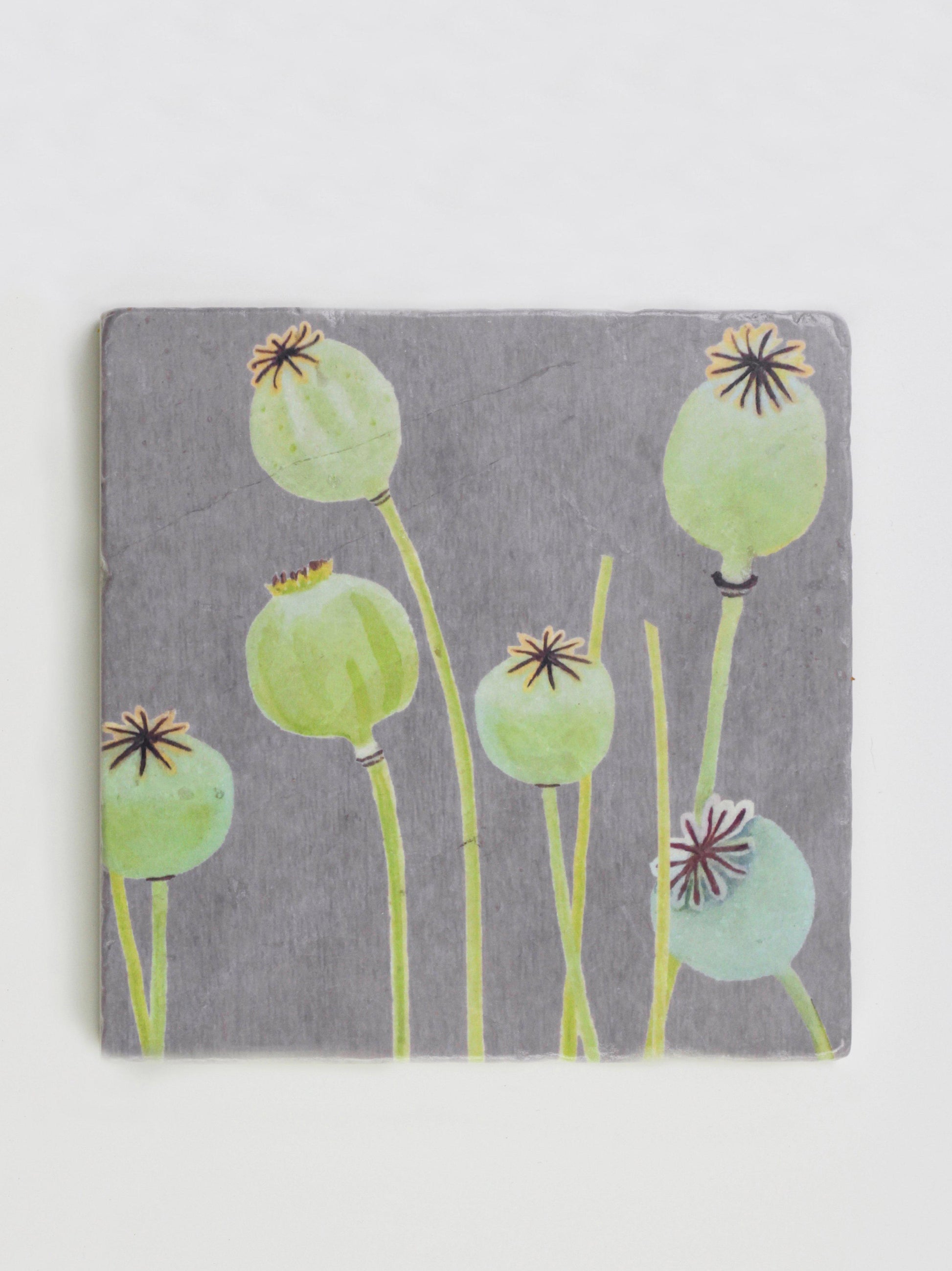 Trivet: Poppy Pods on Grey Trivet Gift Set India & Purry by Jessica Hollander